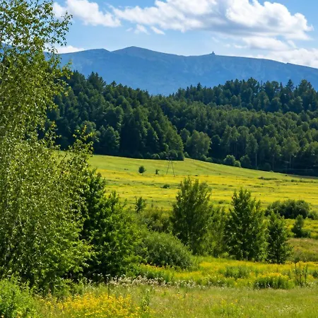 Kalinowa 24 Апартаменти *
